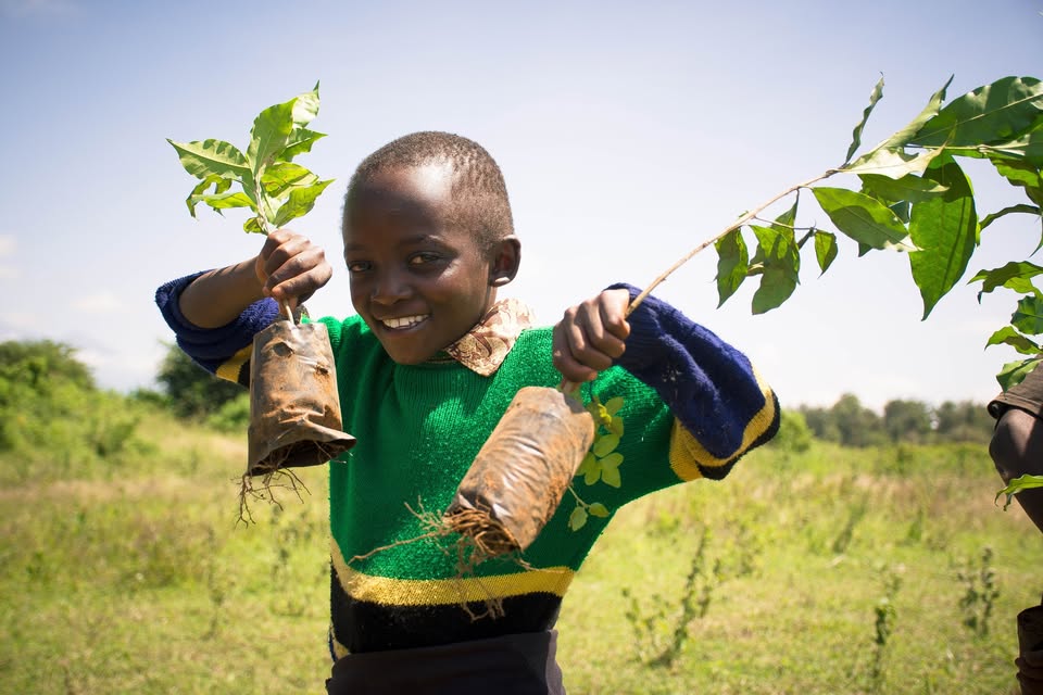 How Joy Kids Tanzania Supports Education and Nutrition