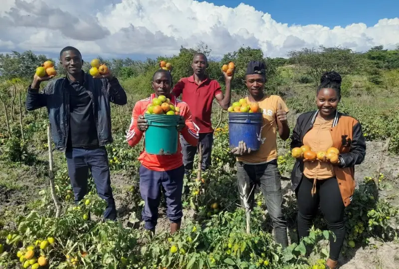 The Role of NGOs in Tanzania’s Rural Development