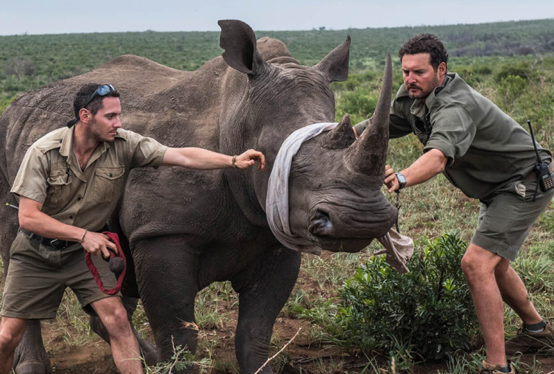 short term volunteer programs in tanzania