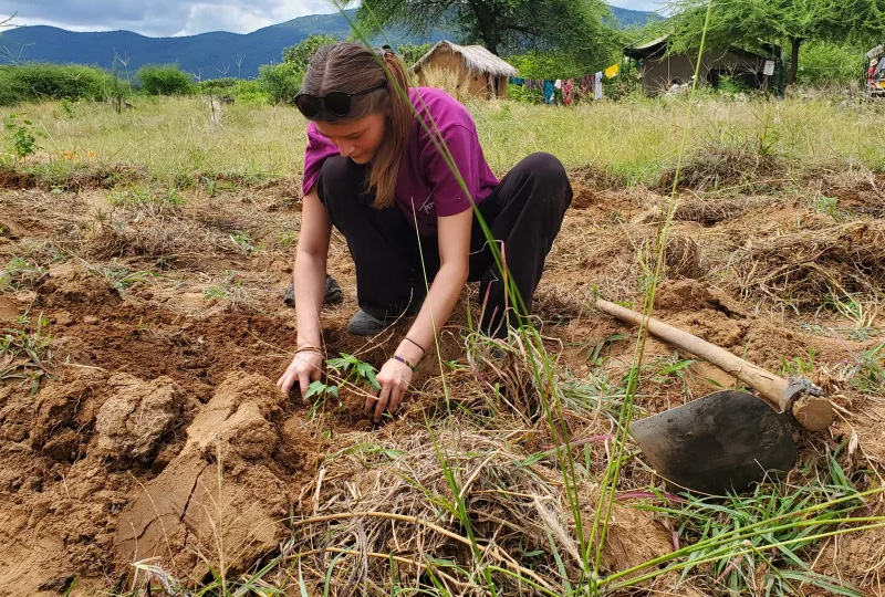 the cost of volunteering in tanzania